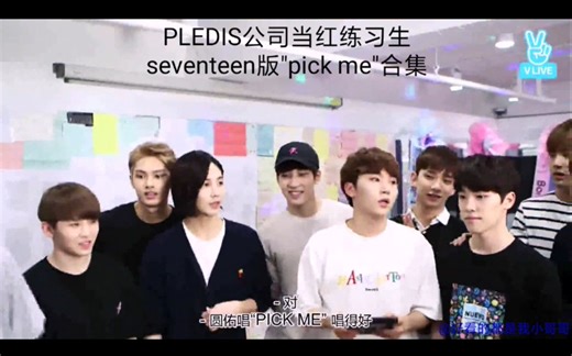 【seventeen】那些年SEVENTEEN跳过的101. ioi"pick me"