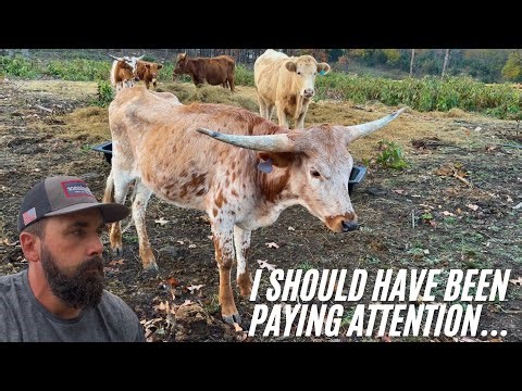 This Is A Hard Way To Learn A Lesson! (For Both Of Us)