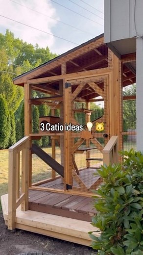 The Catio Company on Instagram: "3 Catio Ideas to Transform Your Home! 🏠🐾 Discover the best catio designs for safe outdoor fun, sunbathing spots, and adventure-filled cat runs. Perfect for keeping your cats happy, healthy, and entertained! . . . #CatioBuildingTips #DIYCatioPlans #CatLovers #HappyCats #CatEnclosures"
