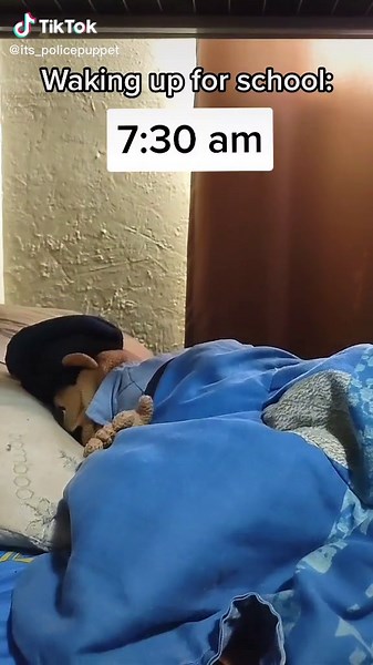 Hilarious Morning Routine with a Police Puppet!