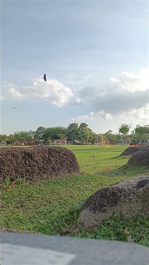 RC Plane F4U TEST FLIGHT 🔥😎 #music#rcplane #warbird #f4ucorsair#airplane#testfly#Planedronedjineo