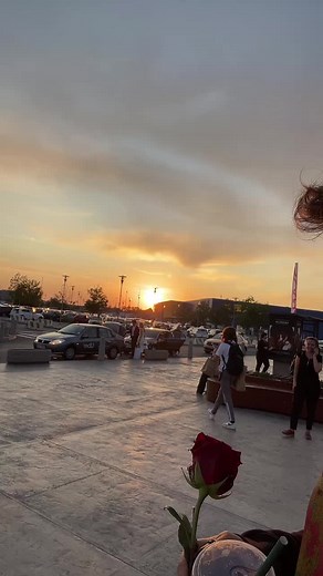 Marius Elisei pe TikTok