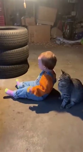 SHOCKING FOOTAGE! UNEXPECTED HERO: Cat Saves Toddler From Falling Down Basement Stairs!