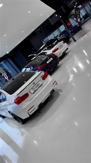 Top Three Performance Cars You Need to Experience