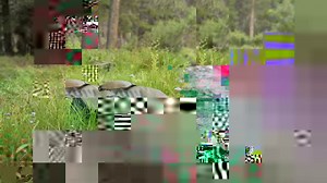 1.7K views · 35 reactions | Built for a lifetime of...