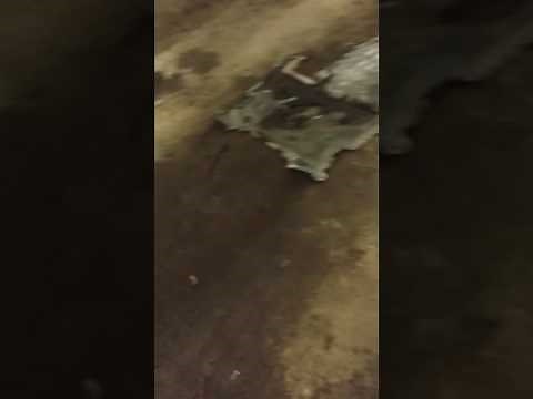 BMW 3.0l crank sensor replacement in 10 minutes