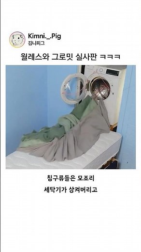월레스와 그로밋 실사판 ㅋㅋㅋ
