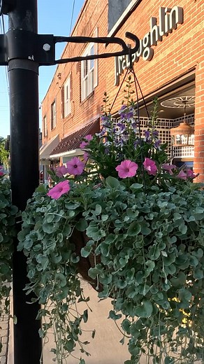 Downtown is shining this Spring! ✨ From the shops to the sidewalks, it’s a great time to visit, stroll, and soak in the season. See for yourself why Blowing Rock feels just right this time of year ⛰️ Info on upcoming events, trip itineraries, hiking, local attractions, shopping and much more can be found at blowingrock.com (Link in Bio ⬆️) - - - #blowingrocknc #backandblooming #blowingrockinbloom #spring #highcountrync #wnc #blueridgemountains #downtown #scenic #goldenhour | Blowing Rock, North 