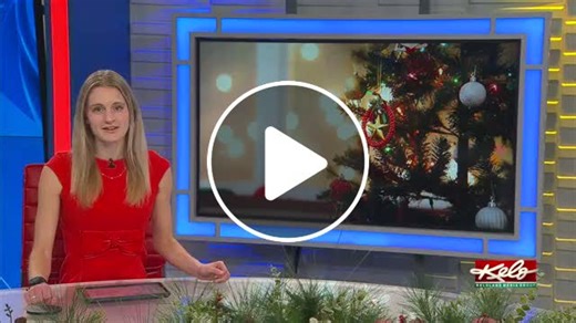 Store gives out items for free during Christmas season - NewsBreak