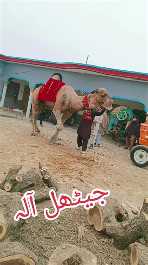 Exploring the Beauty of Jethal Instrument in Chakwal