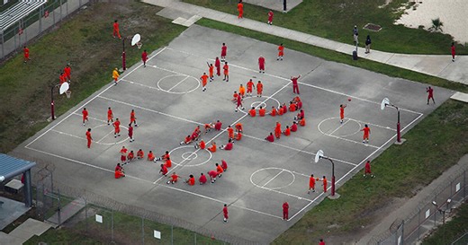 Hundreds Of Detainees Reportedly Missing From ICE Records After Being Sent To ‘Alligator Alcatraz’