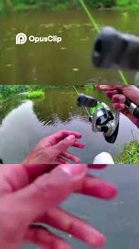 J'ai Sorti un String de l'Eau !#fisherforceai #bigfish #pikefishing