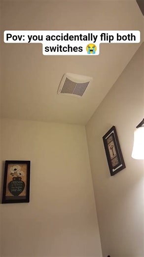 The switches #funny #comedy #memes #duet #famousshorts #birdtrend #helpmemakethismakesense