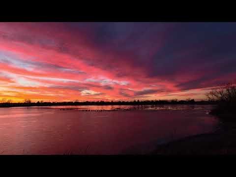 ASMR Outdoor relaxing sounds. 