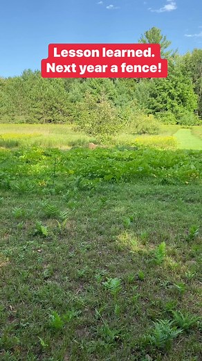 15K views · 119 reactions | Now we know to budget four 50’x 4’ high fence rolls next summer! | D&R Processing - Wild game processing | Facebook