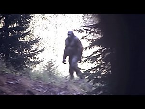 Times When Trail Cam Captured Clearest Photos Of A Bigfoot