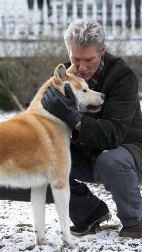 Business Fortunes on Instagram: "🎥 “Hachi: A Dog’s Tale” is a heartfelt film inspired by the true story of Hachiko an Akita dog in Japan. The movie follows the deep bond between a college professor and the loyal dog he adopts. Each day, Hachiko accompanies his owner to the train station and returns in the evening to greet him. Tragically, when the professor passes away unexpectedly, Hachiko continues to wait at the station every day for nearly a decade, hoping for his master’s return. This stor