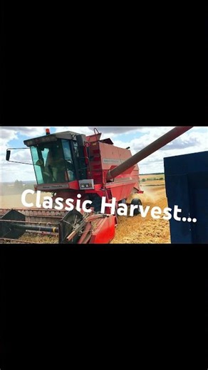 Classic Harvesting…