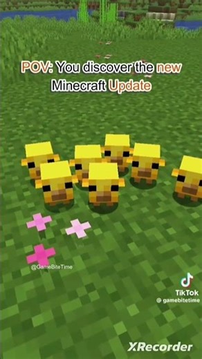 new minecraft update