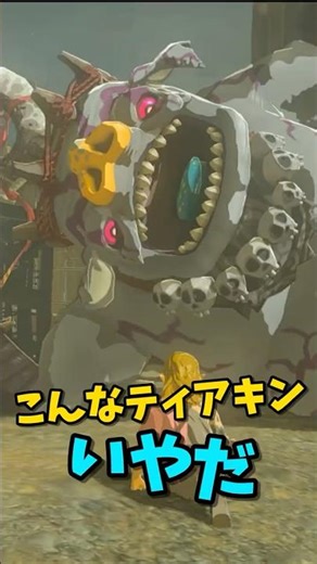 【ティアキン】 寝てる？ #ゼルダの伝説 #zelda #ゼルダの伝説ブレスオブワイルド #ゼルダの伝説ティアーズオブザキングダム