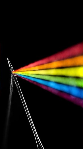 Indoor Macro Photography Ideas: The Dark Side of the Needle