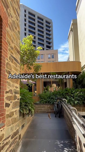Best Restaurants in Adelaide: Food Tour & Recommendations