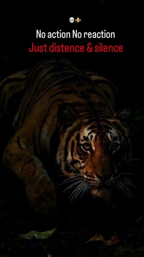 Shorts, motivation, inspiration, mindset, successmindset, dailyMotivation, hustle #motivation