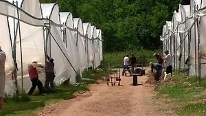 EI changes worry farmers