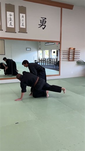 What is martial arts kata actually for?