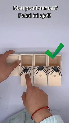 Spider Prank Box #spiderboxprank #spiderbox #prankspiderbox #boxspider🕷 #fypシ #fypシ゚viral