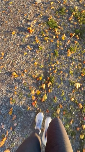 66 reactions · 6 comments | Fall is in full color at the park — golden leaves, calm water, and that perfect crisp air. Let’s soak in every moment of this season before the days get a little shorter and the clocks fall back. | Friends of Emerson Park | Facebook