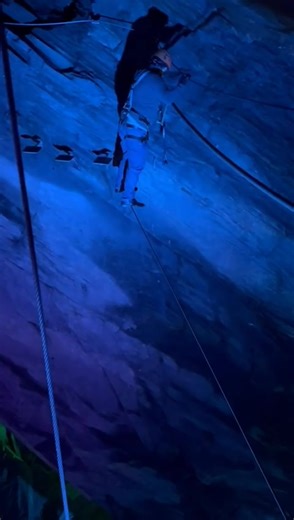 14K views · 447 reactions | Paddy Doherty Site on Reels | Facebook