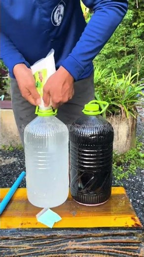 Learn to grow your own food 🍅🥬 in your own hydroponic garden at home #Hydroponics