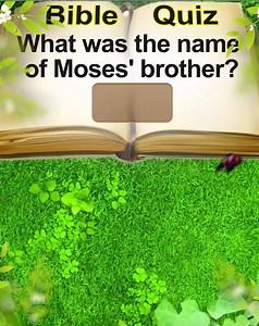 102K views · 97 reactions | Warning: this word game is highly addictive! Solve puzzles to unlock Bible verses! Over 500+ challenging levels! Come test Your Bible Knowledge! | Bible Word Puzzle | Facebook