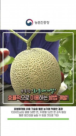 #농진청shorts 📣부족한 화분매개벌, 효율적으로 이용하는 방법 개발👍