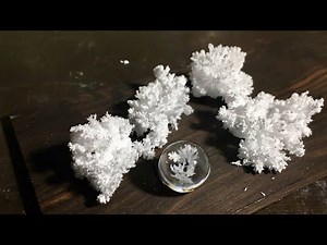 実験 尿素結晶のレジン封入 (Experiment)Urea crystal in resin.
