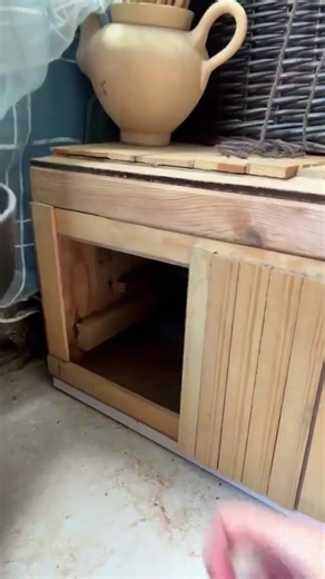 Cat 🐈 #funny #cats #catvideos #usa#catsoftiktok