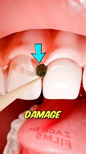 Before You Use a Toothpick, Watch This!😱
