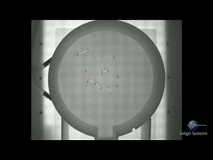 Tracking Nearest Neighbor Distance in group of 15 zebrafish larvae using LoliTrack 5