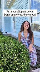 50K views · 728 reactions | It may be tempting to start pruning your...