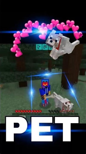 I've got the ✨✨BEST✨✨ DOG 🐕 in MINECRAFT😘🥰😍🐶