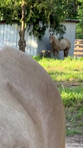 43K views · 5.5K reactions | Good morning to my loves | From Suits to Boots | Facebook