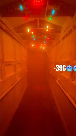 Chena Hot Springs-39C🥶 #hotspring #viral #shorts #freezing #fypシ゚viral