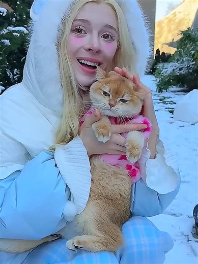 Cute and Funny Cat Moments Caught on Camera
