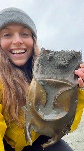 1.3M views · 9.4K reactions | But what is a big skate?! They are a...