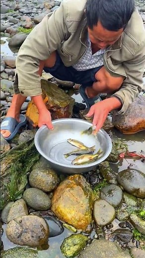 The process of catching freshwater grouper