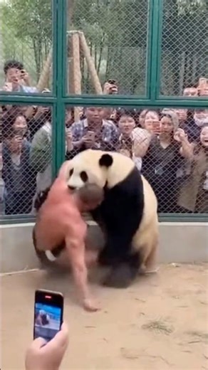 Man Gets Destroyed by Panda 💀 #combat #aiart #shorts
