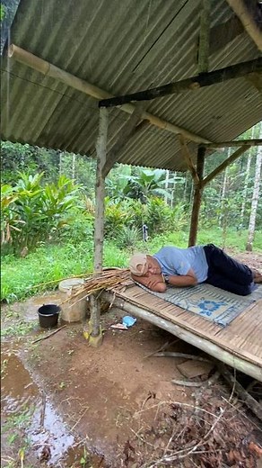Nature’s Lullaby: Heavy Rain and Jungle Sounds for Sleep #asmr #cabinbliss #rainsounds #camping