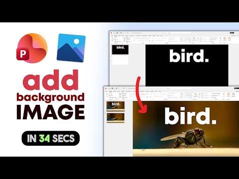 How to Add Background Image In PowerPoint