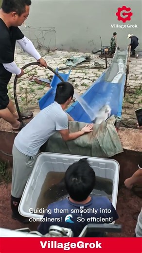 Massive Fish Harvest: Modern Fish Farming Technology